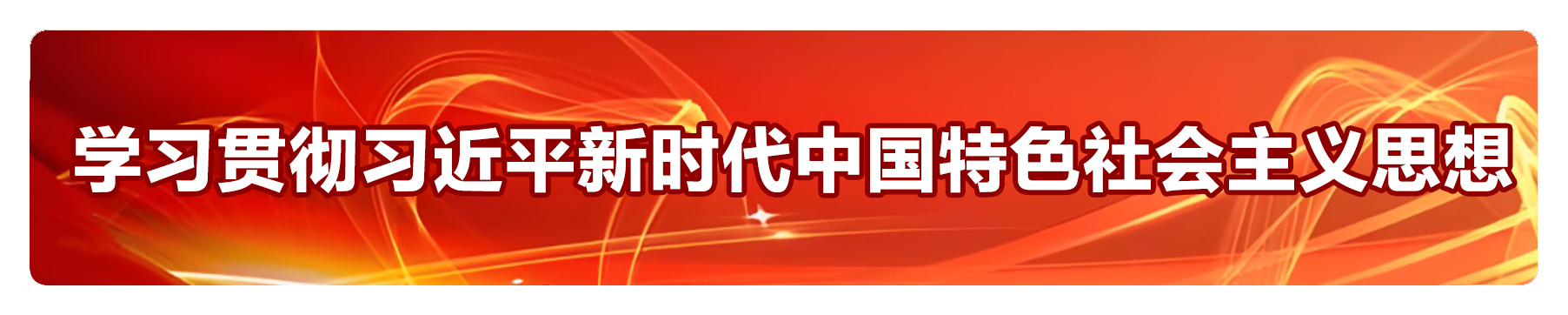 学习贯彻习近平新时代中国特色社会主义思想